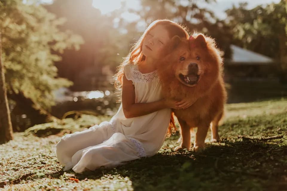 Menina sentada na grama abraçando o cachorro sob o sol da tarde